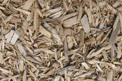 biomass boilers Chessetts Wood